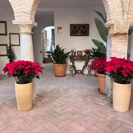 Corazon 23 コルドバ