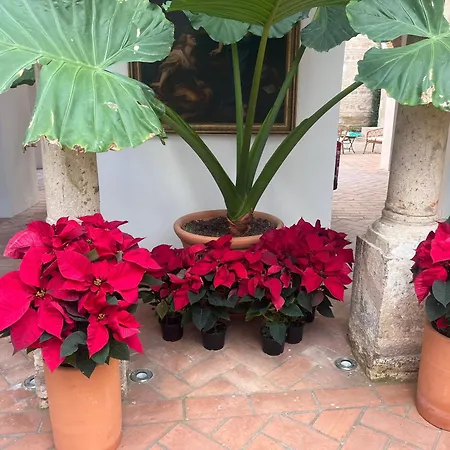 アパート Corazon 23 コルドバ