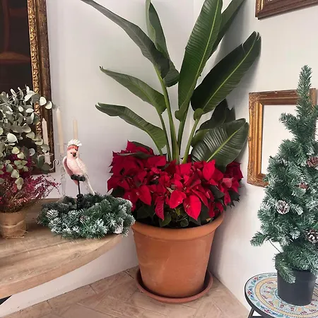 アパート Corazon 23