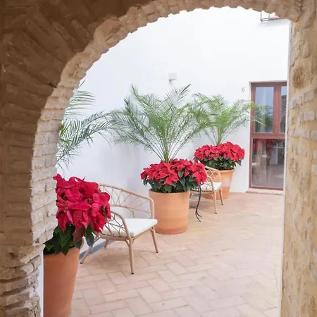 アパート Corazon 23