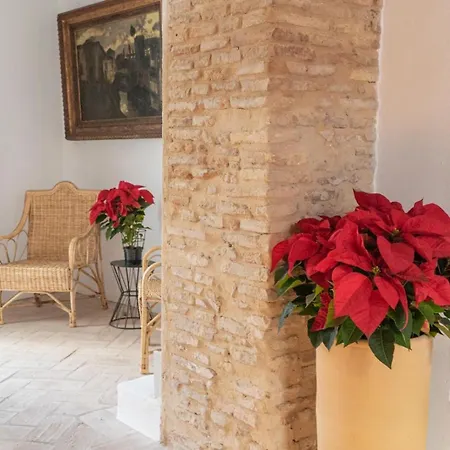 Corazon 23 * コルドバ