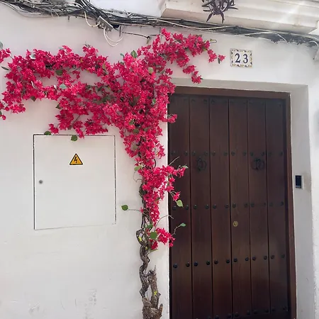 Corazon 23 * コルドバ